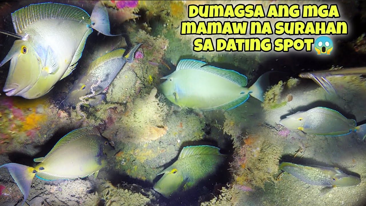 eps.368 DUMAGSA ANG MGA MAMAW NA SURAHAN SA DATING SPOT😱JACKPOT!! #fishing #fish #gopro #kapanatv
