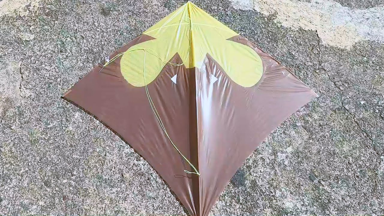 Essa Raia Estava um Espetáculo no Céu Até que uma Pipa me Cortou