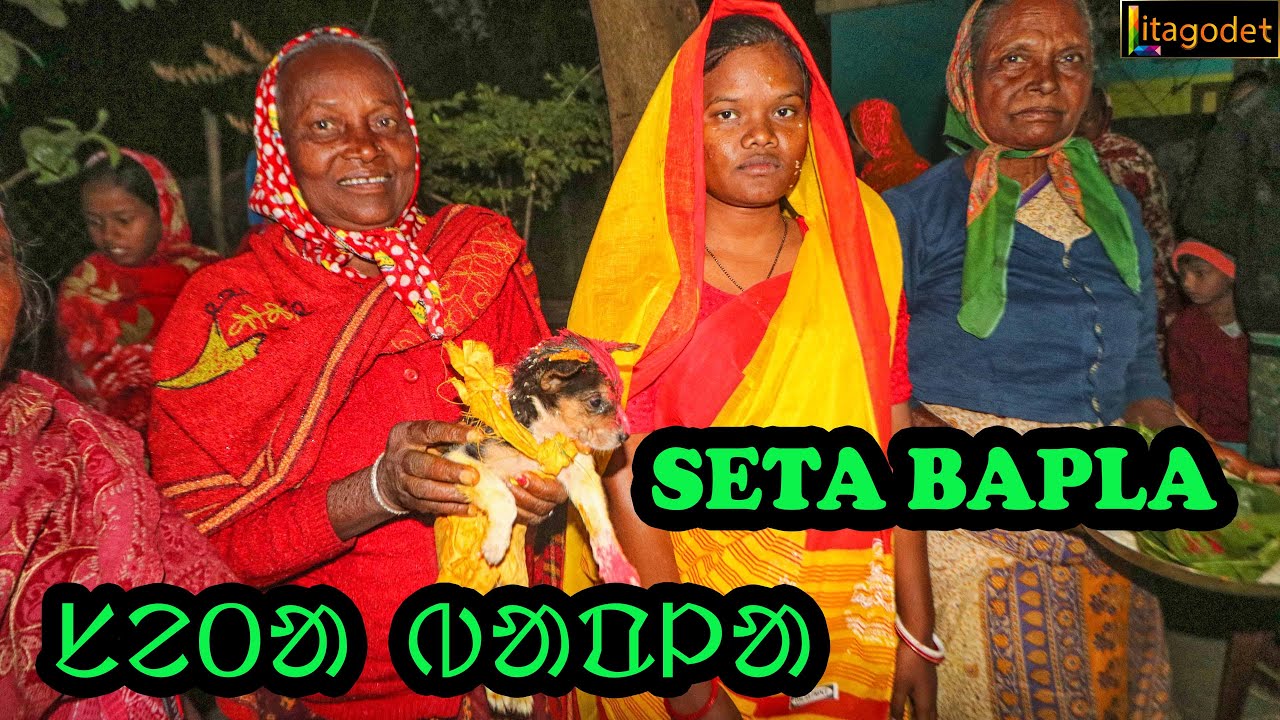 SETA BAPLA