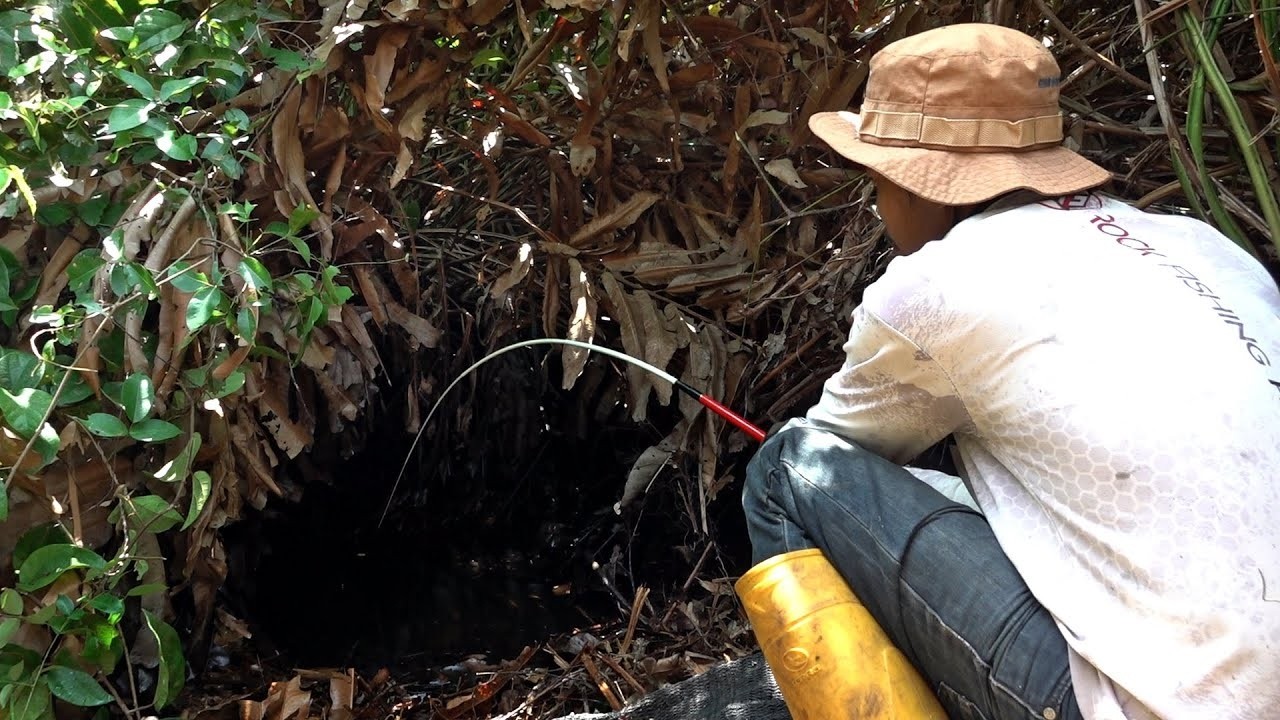 Spot mancing perawan yang sangat menantang #SG-471