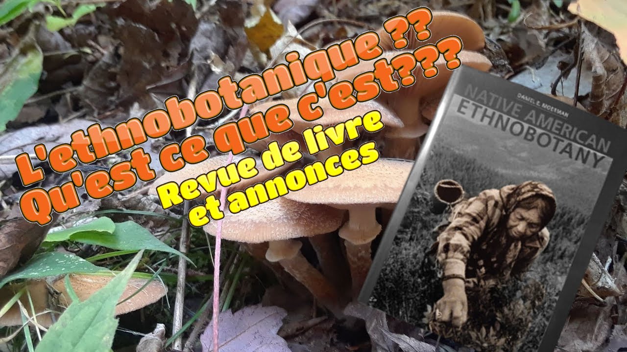 Qu'est ce que l'ethnobotanique?? revue de livre et +++