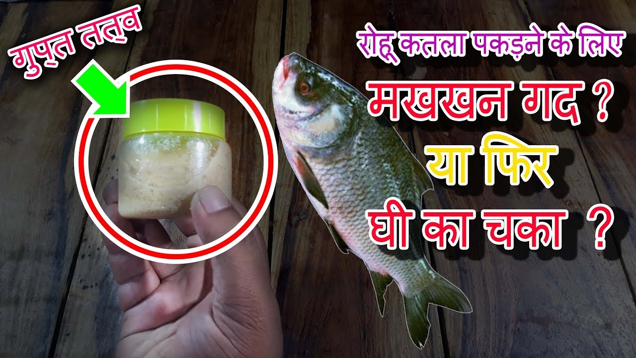 मखखन गद घी का चका का विकल्प Amazing Fishing Makhan Ghadh Ghee Chaka Butter Alternative