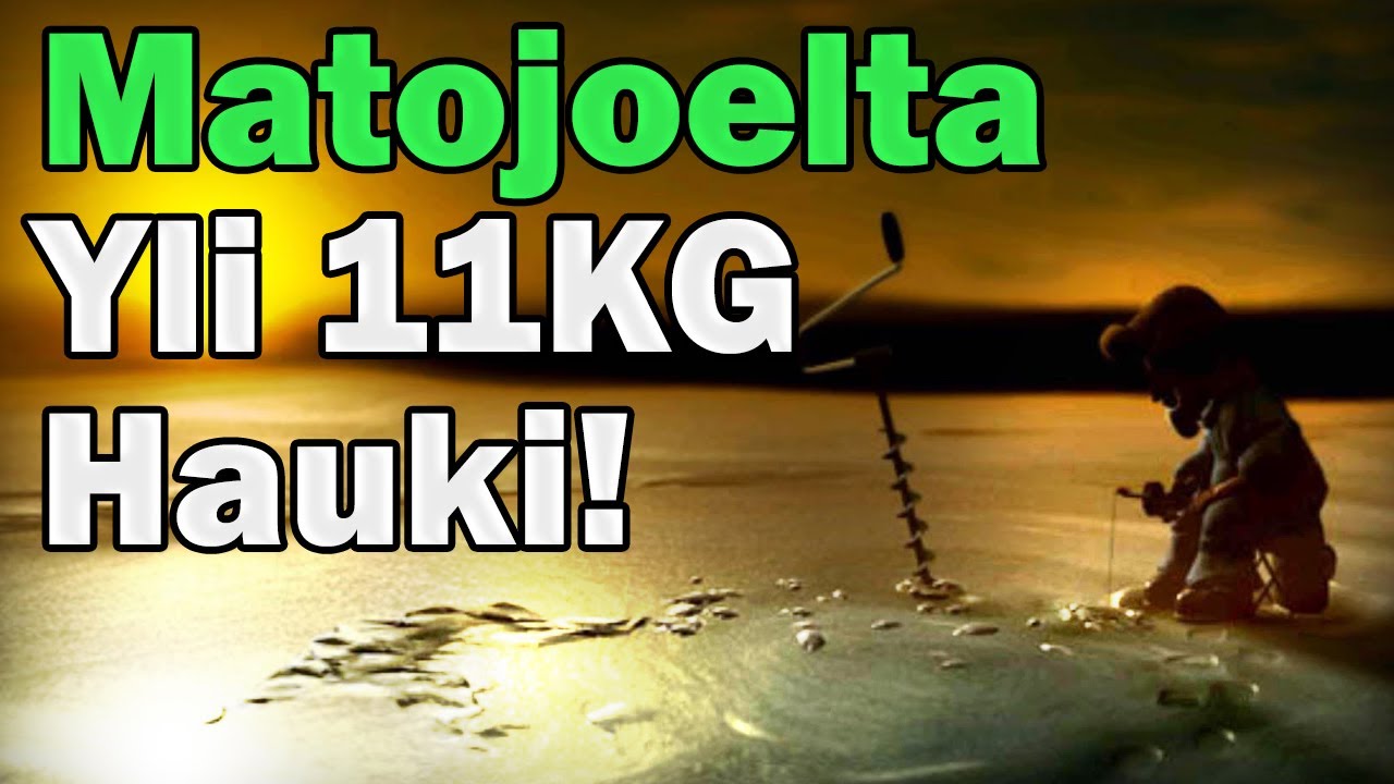 Pro Pilkki 2 | YLI 11KG HAUKI:D | Matojoki