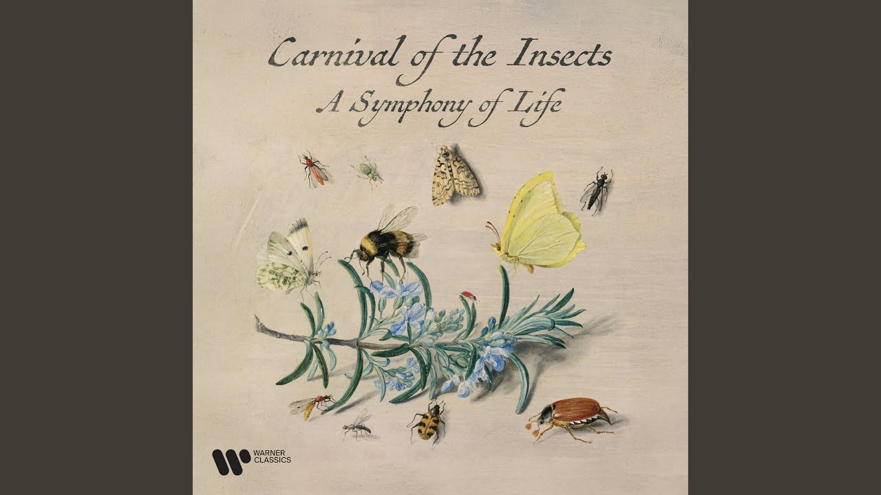 Madame Chrysanthème, Act 3: 