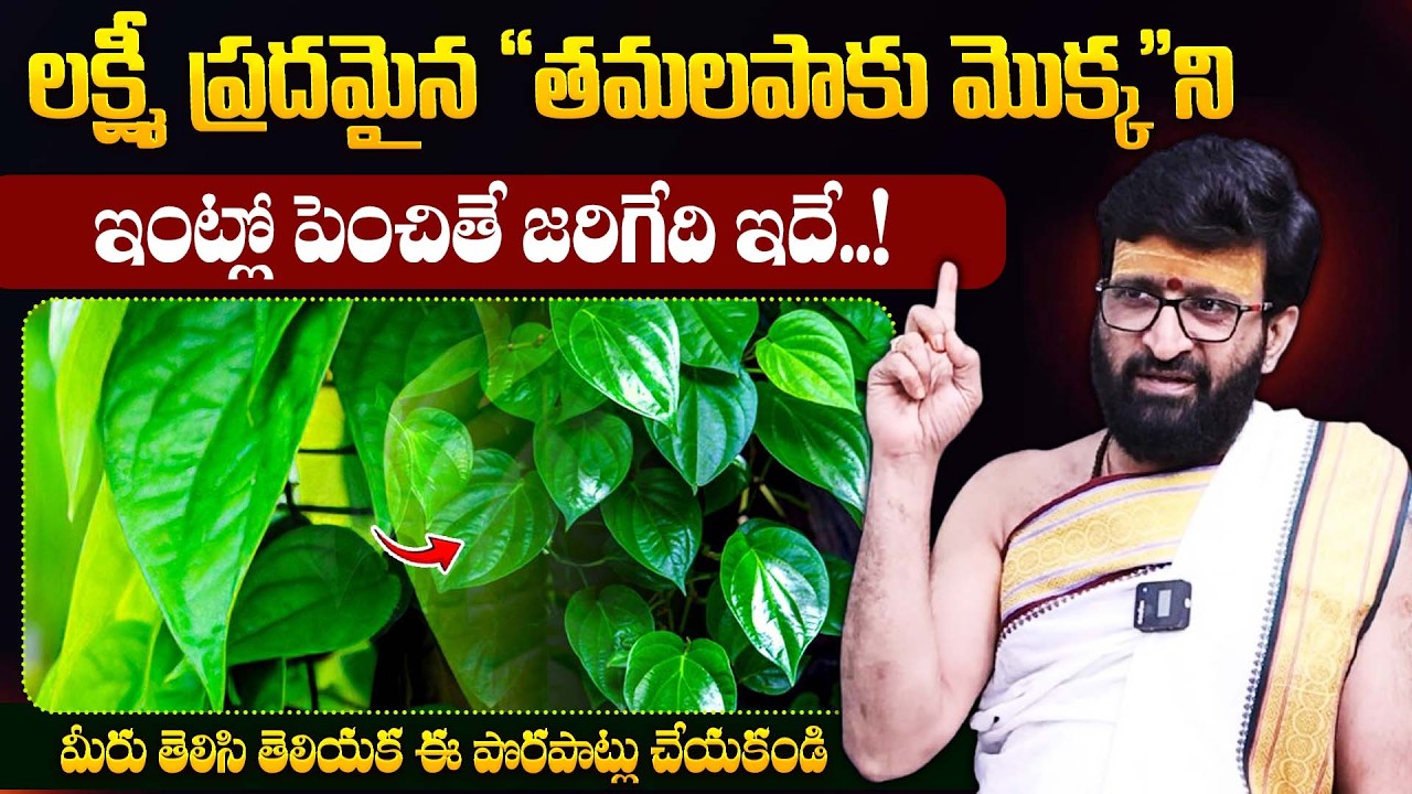 Kiran Sharma : తమలపాకు మొక్కని  ఇంట్లో పెంచితే జరిగేది ఇదే..! || Dharmasandehalu || Bharathi TV