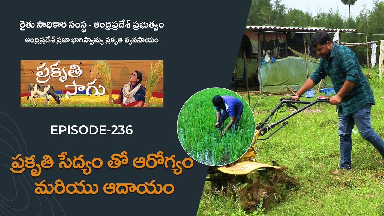 E236 | ప్రకృతి సేద్యం తో ఆరోగ్యం మరియు ఆదాయం | A. ముసిలి నాయుడు | అనకాపల్లి జిల్లా