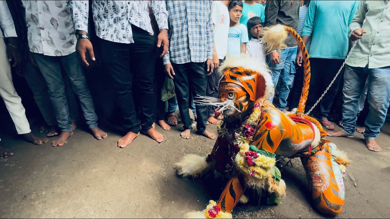 Pandharkawada sher dance 2025 | pandharkawada muharram