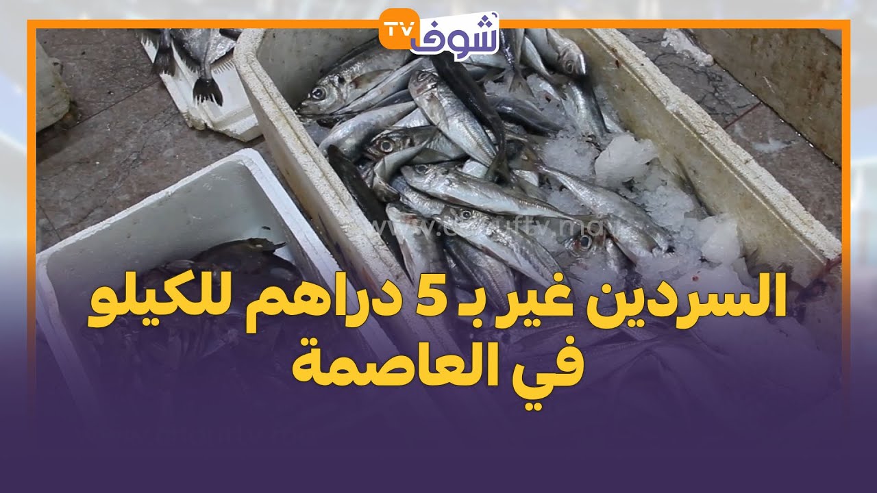 الدرويش ياكل الحوت فرمضان...السردين غير بـ 5 دراهم للكيلو في العاصمة