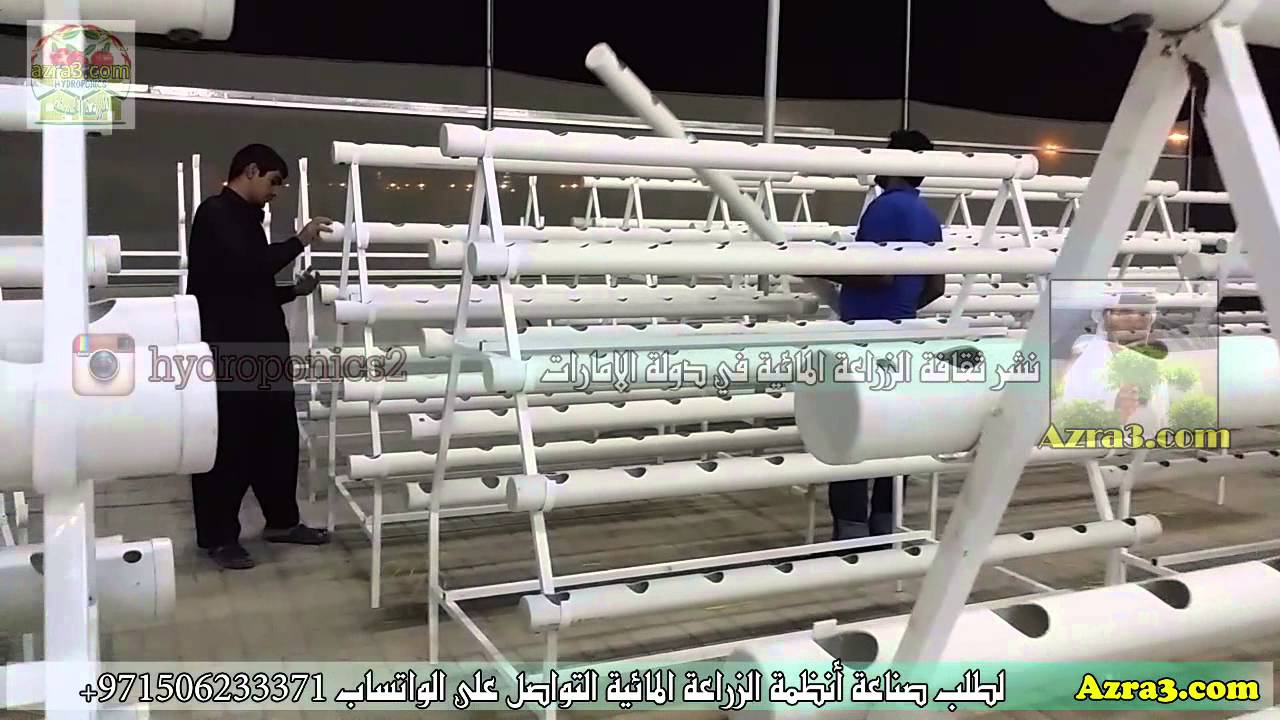 رحلة أثناء تركيب نظام الزراعة المائية في أحد المزارع بالامارات