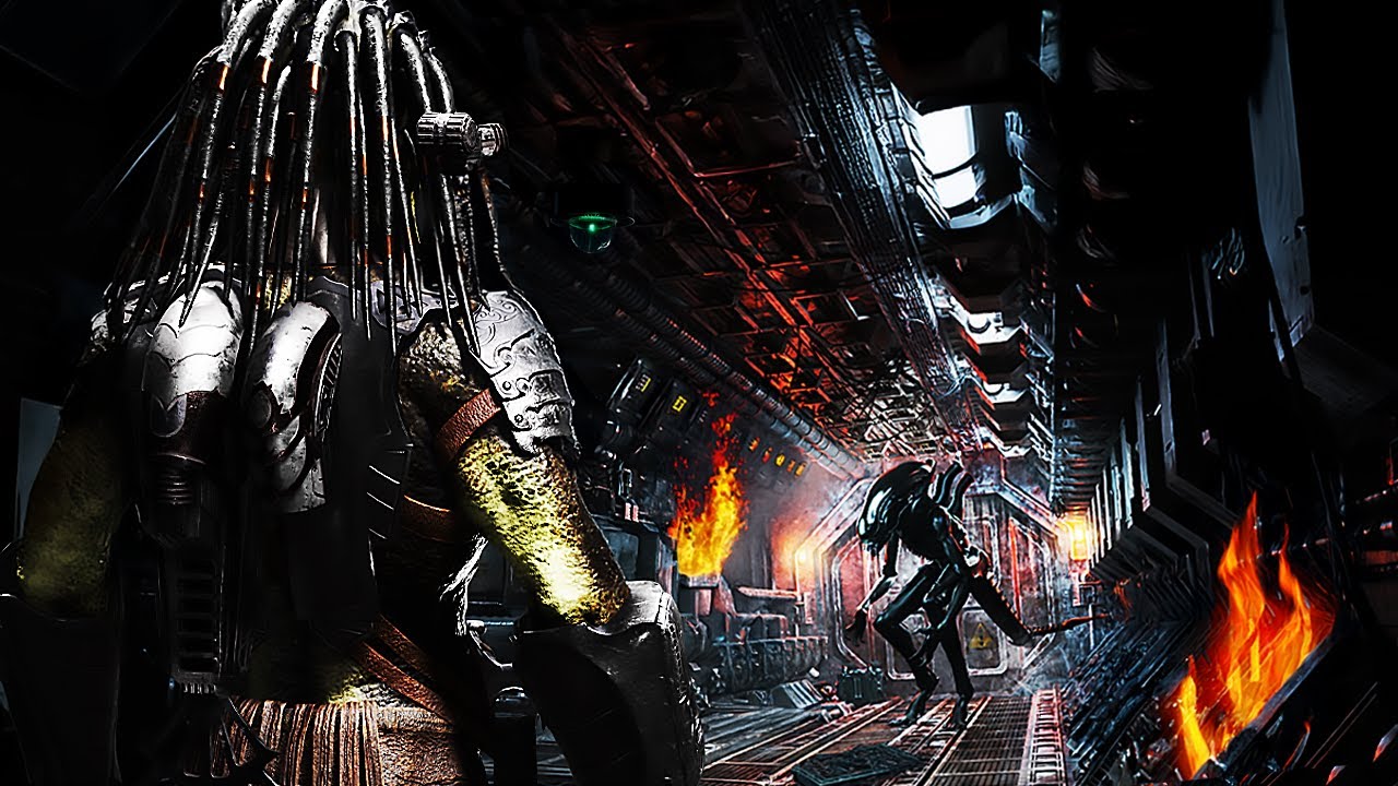 Surviving A Xenomorph Infested Planet as a Predator..