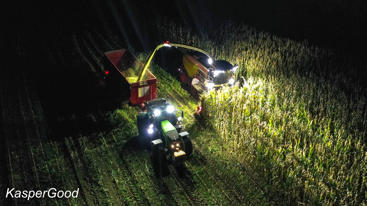 Claas jaguar 960 Terra Trac | Corn silage | harvest 2023