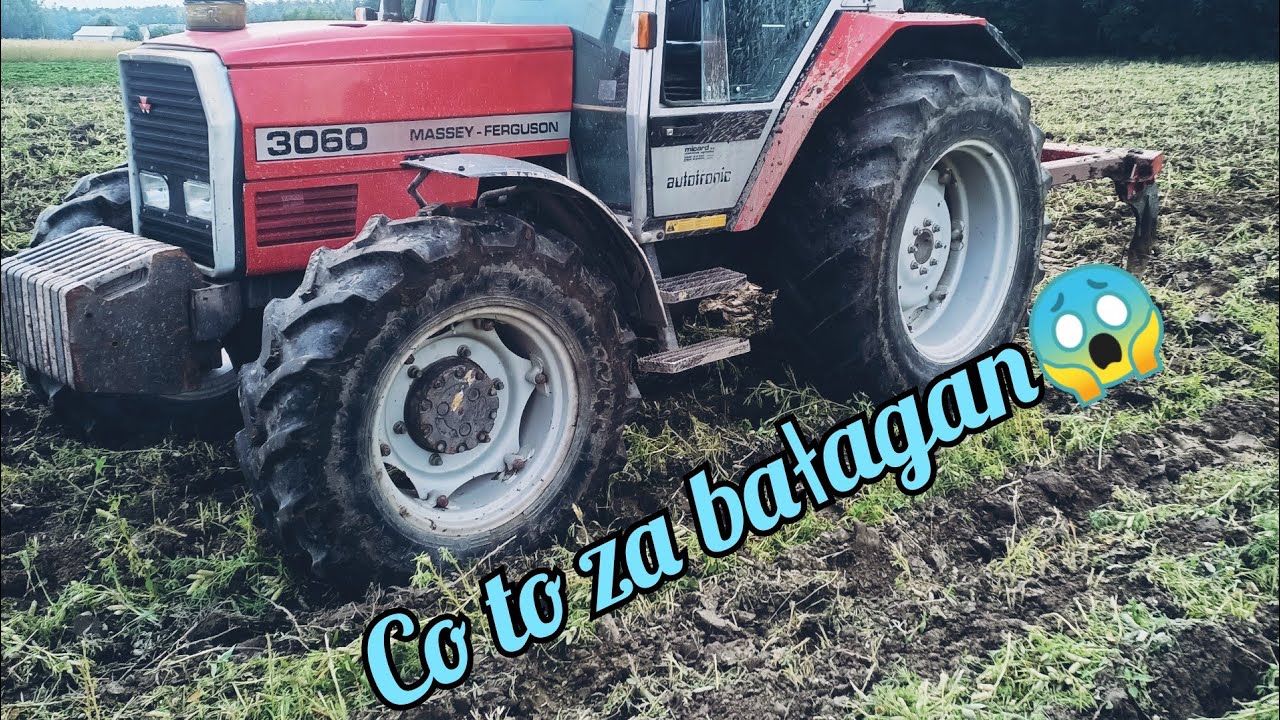 Przygotowanie pola pod truskawki krok pierwszy