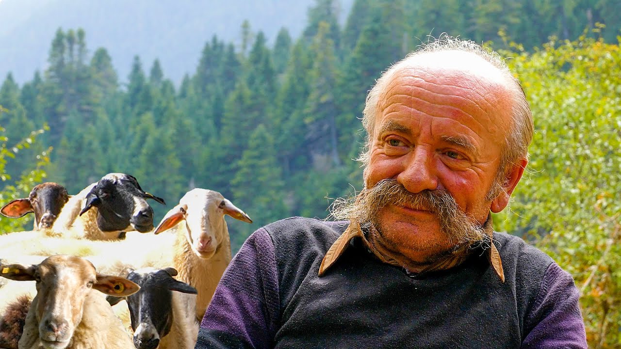 Μόνος στο Βουνό με το Κοπάδι του | Κραυγή Αγωνίας για το Μέλλον της Κτηνοτροφίας