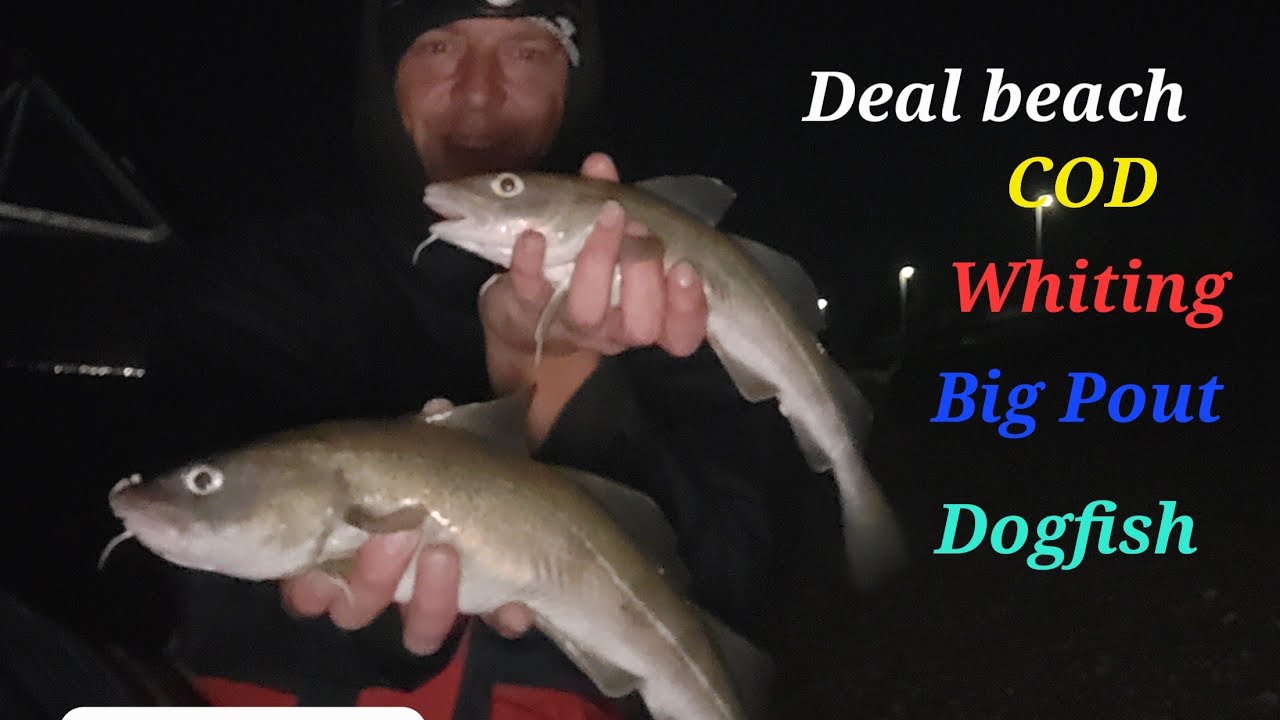 Fishing Deal Kent 6/10/2022 Cod/Big Pouting/Whiting and Dogfish