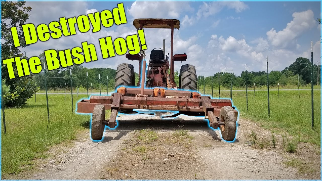 I Destroyed The Bush Hog