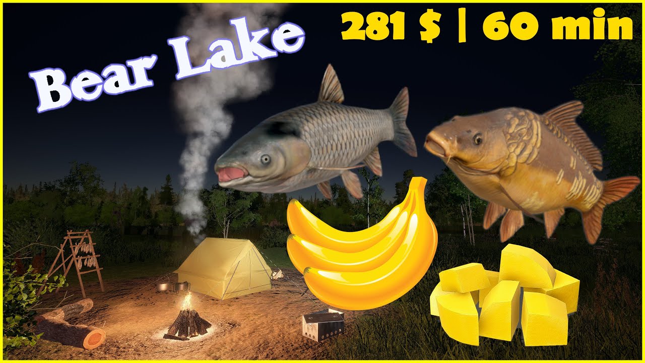 Bear Lake carp no pva new config | Russian Fishing 4 rf4 spot #84 #mjplay