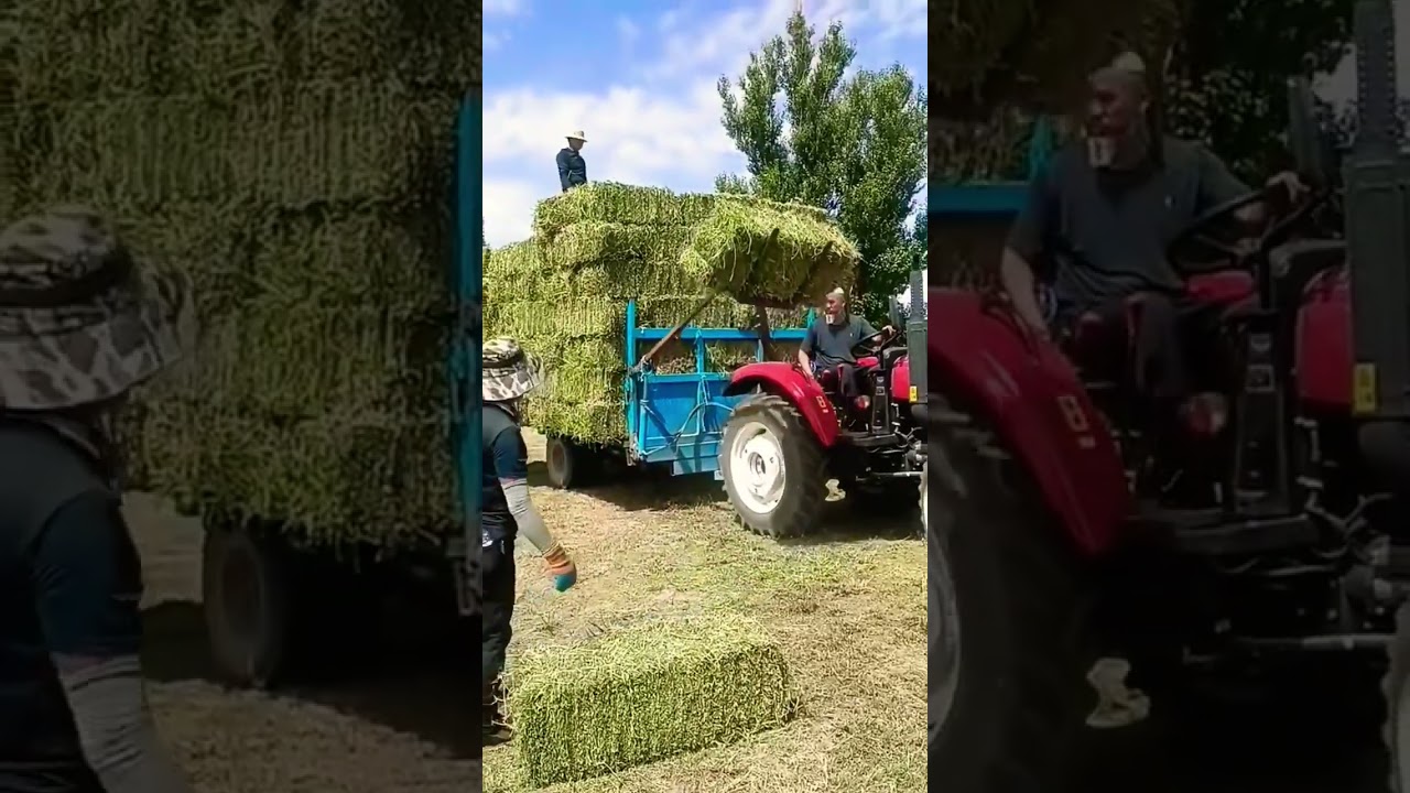 Agriculture tool, farming tool, farmers tools, takter tool,