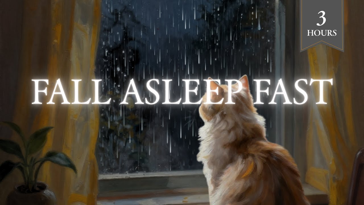Rain Sounds for Deep Sleep Cozy Window Rain with Cat | 3 Hours Relaxing Rain (No Music)