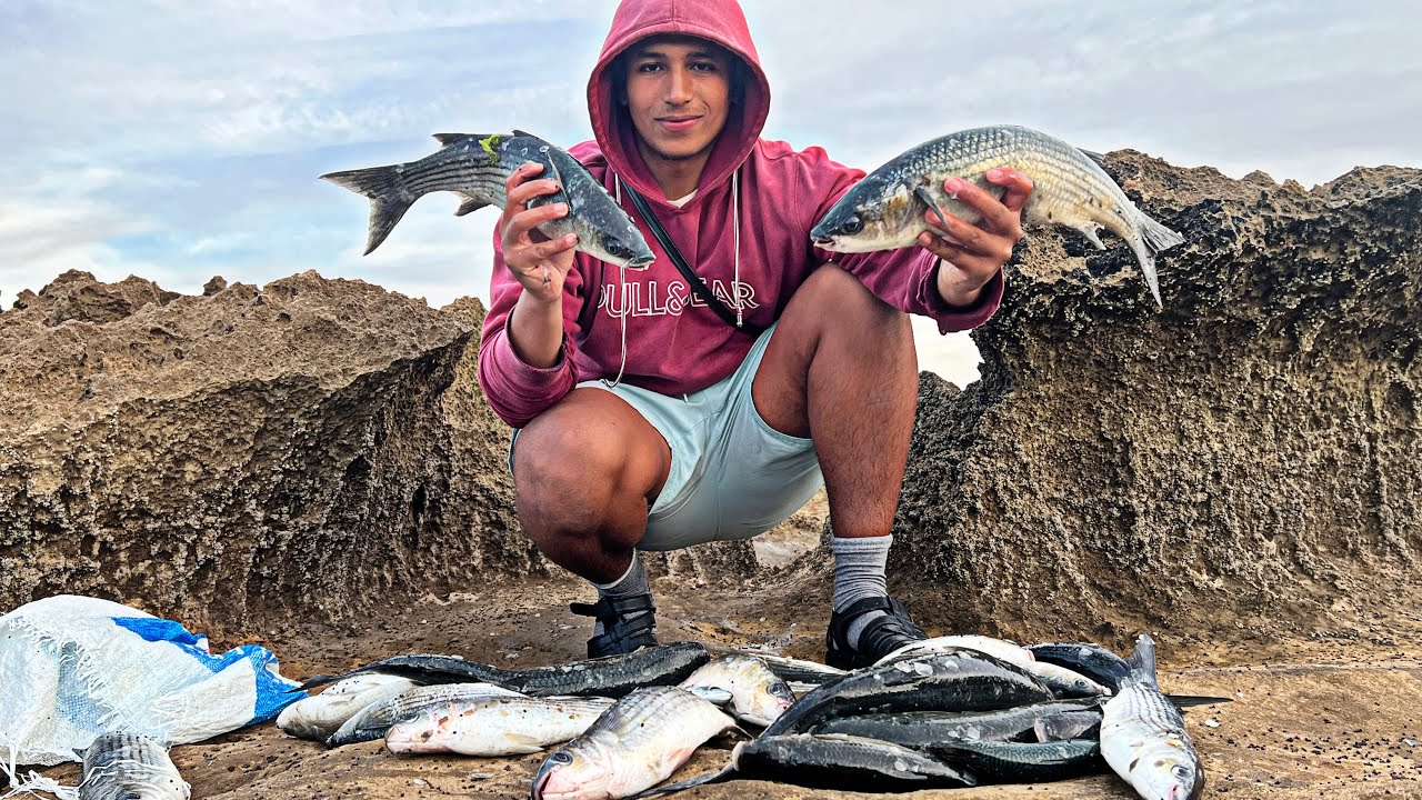 تمكنت من صيد أكثر من 20 kg 😨 من سمك البوري بأبسط طريقة و بطعم مجاني 💯👌🏽 Mullet fishing