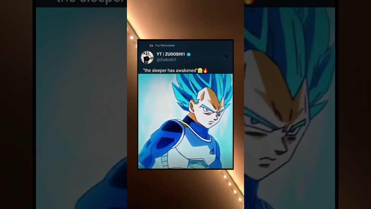 The sleeper has awakened - Prince Vegeta