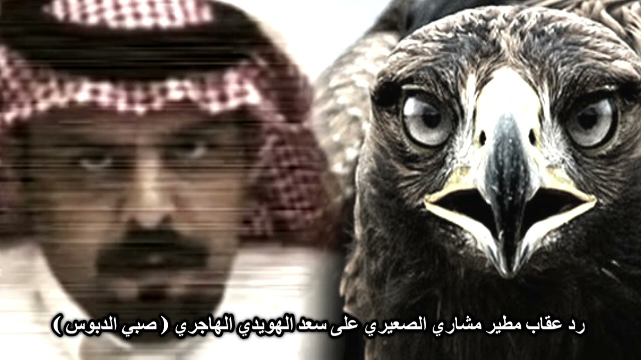 رد عقاب مطير مشاري الصعيري على سعد الهويدي الهاجري