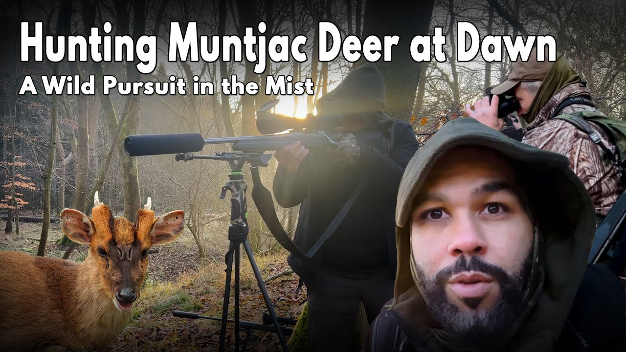 Hunting Muntjac Deer at Dawn: A Wild Pursuit in the Mist