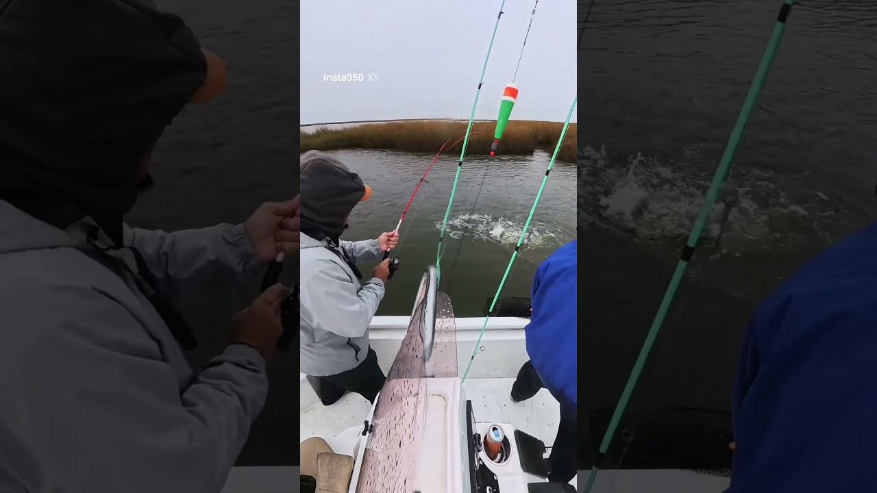 23” slot red caught on live minnows
