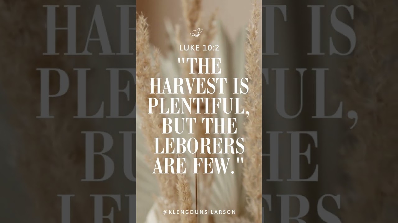 The harvest is plentiful, but the laborers are few