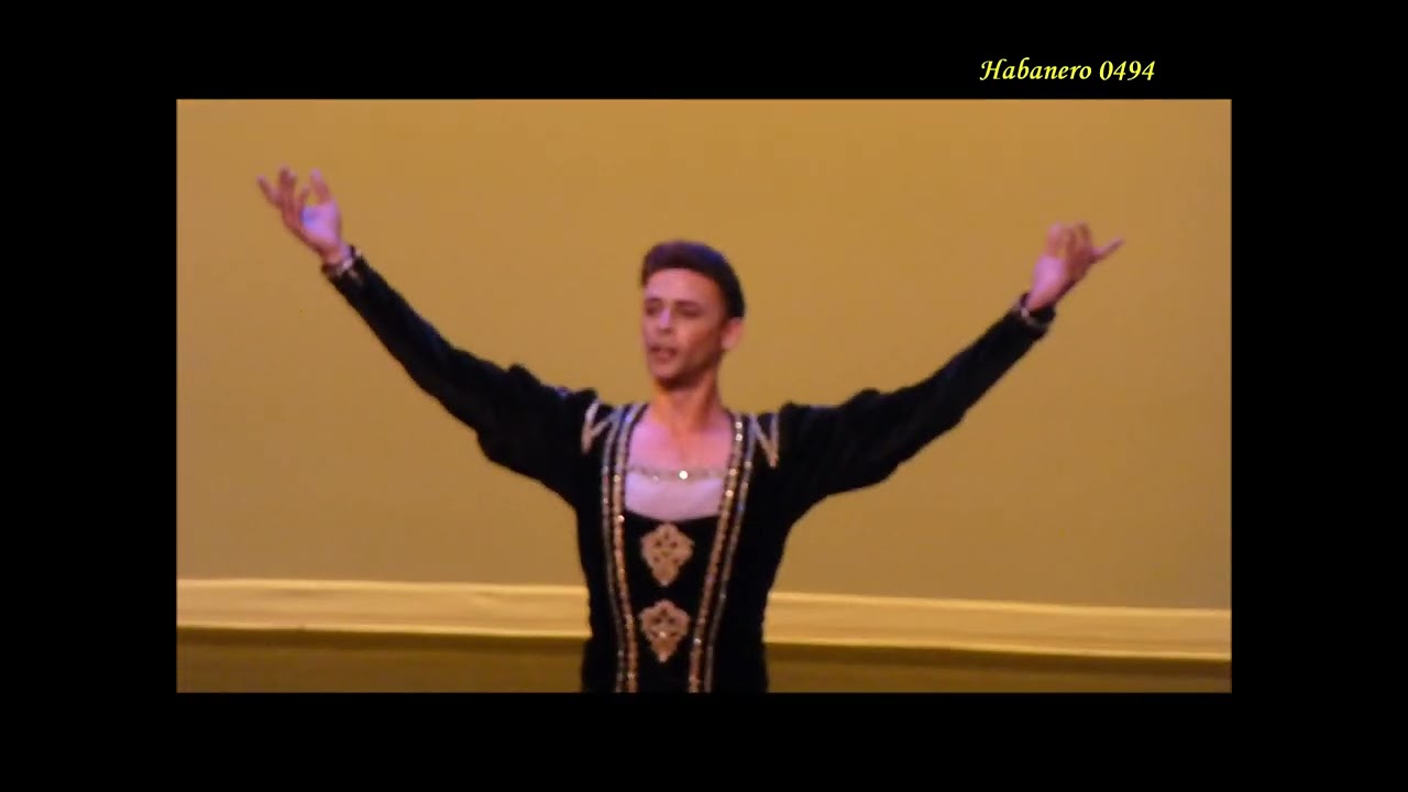 Taras Domitro. -Siegfried (Var & Coda)
