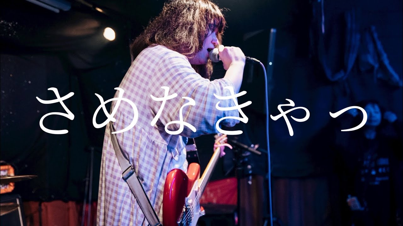 ねこねこさきちゃん「さめなきゃっ」2025.12.6 札幌ローランドゴリラ 1st ONEMAN LIVE