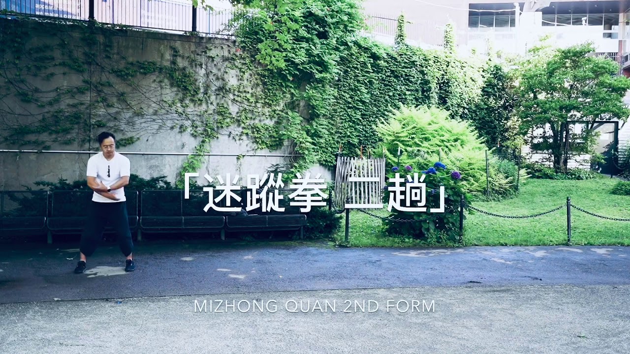 迷蹤拳二趟 MiZhong Quan 2nd Form