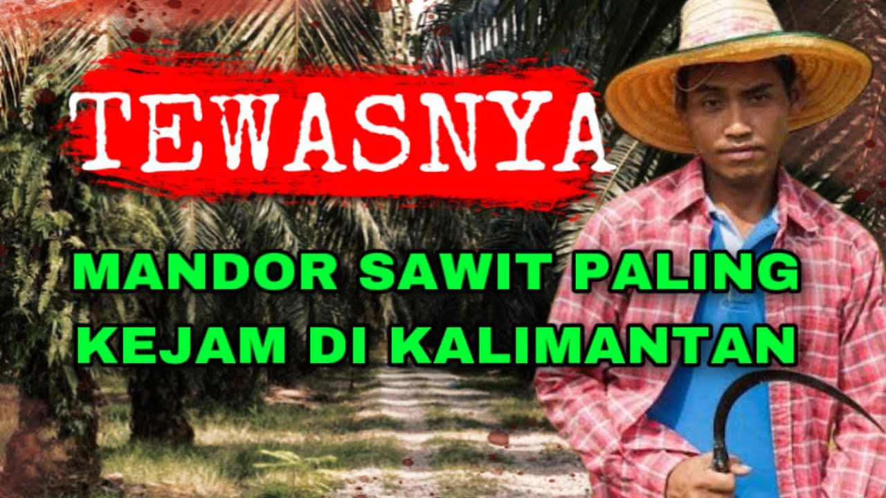 HANYA ORANG INI YANG MAMPU MELAWAN LEGENDA MANDOR SAWIT PALING KEJAM DI KALIMANTAN