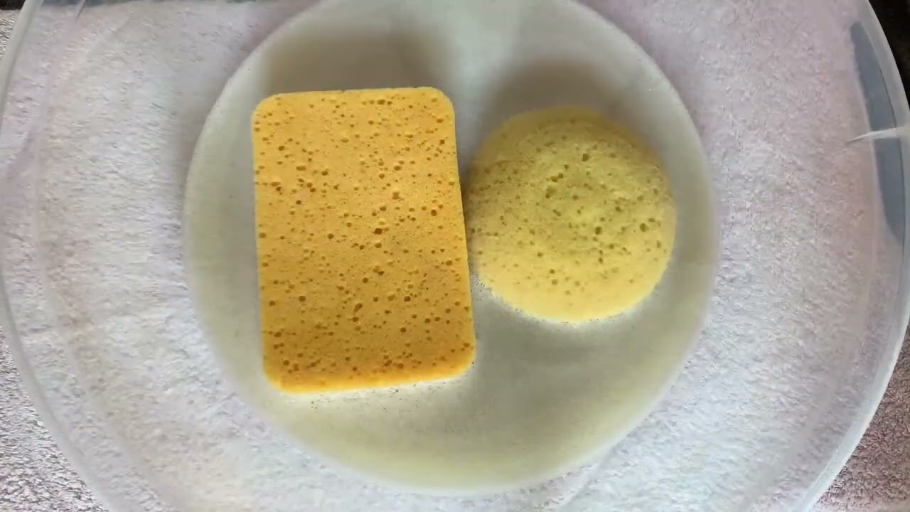 Fizzy pinemix &bull; ADMR Sponge Squeezes