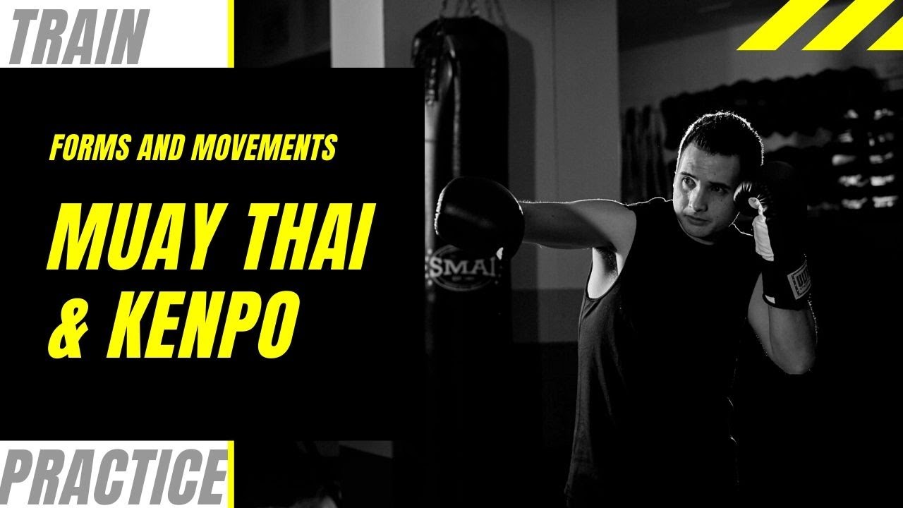 Muay Thai and Kenpo Home Training Sequences 4