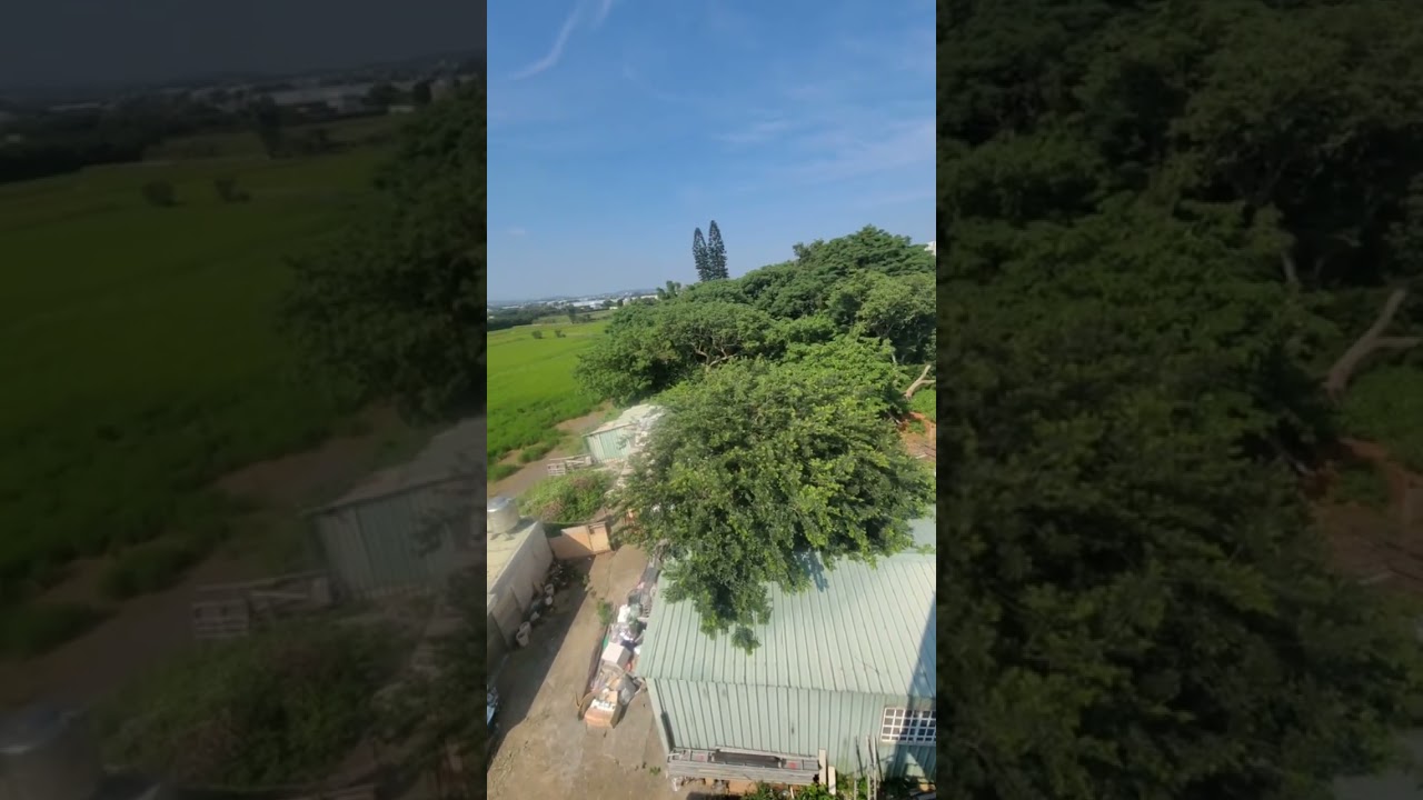 安順鴿園-Youtube直播2025-05-16「大北區夏季合作鴿舍，外訓彰化，飼養管理經驗分享」
