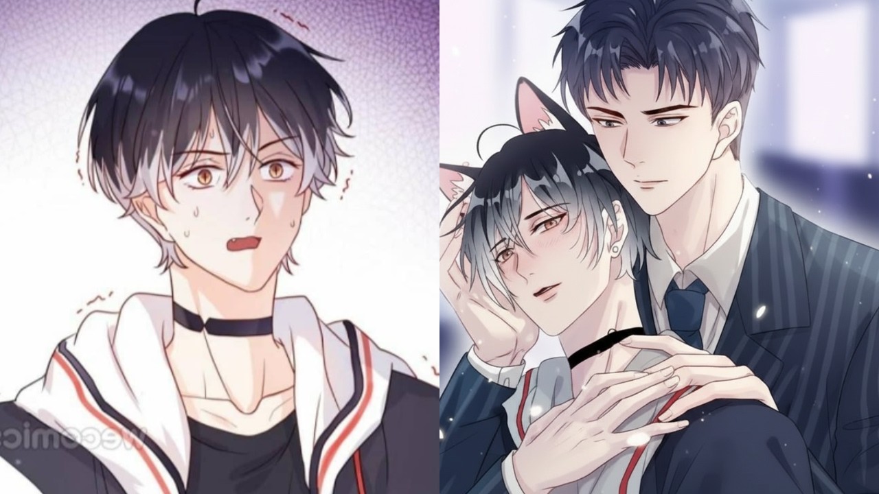 He Is An Alien Cat Stuck On Earth, And Now He Must 