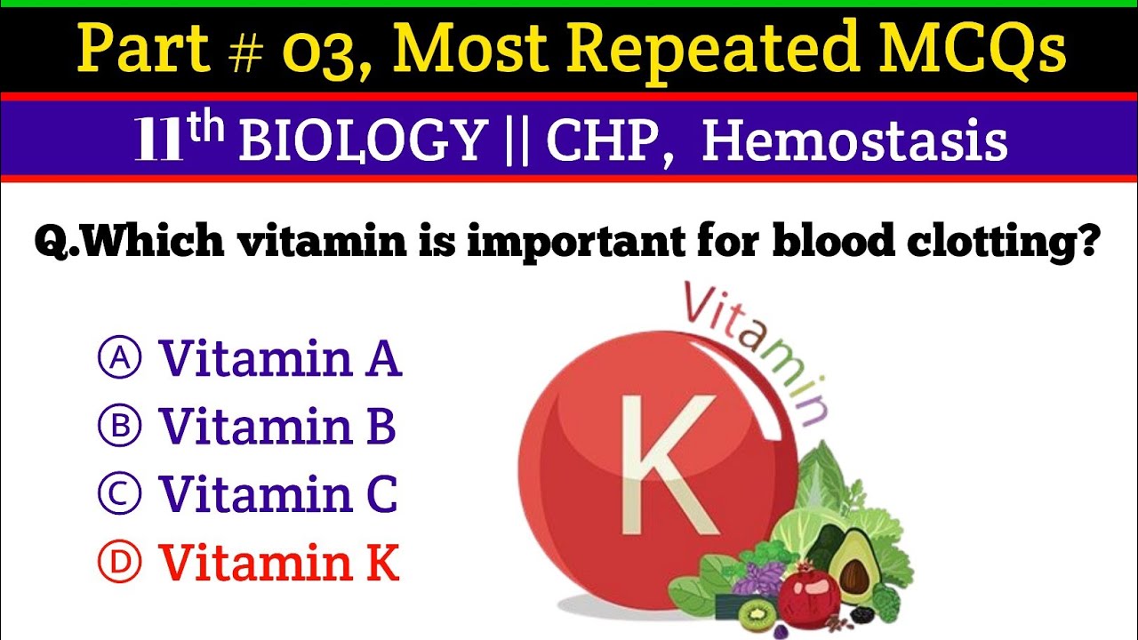 Part # 03 ll Chp Homeostasis Must-Know MCQs on Respiration – NEET, MDCAT, Nursing, PMS, NTS, SST ...