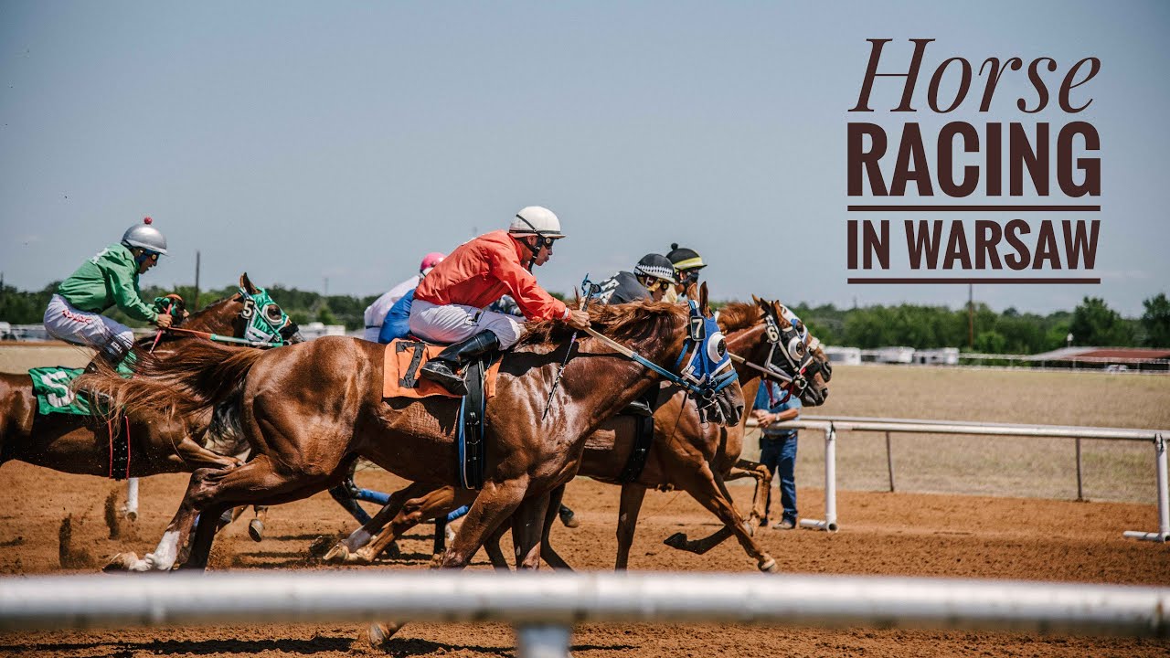 Horse racing in Warsaw | Summer Sunday | Warsaw | Poland