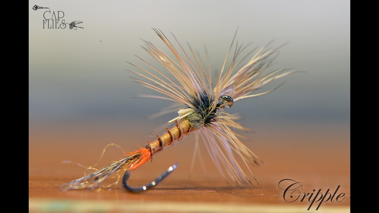 Cripple - Fly Tying with G.Zingaro