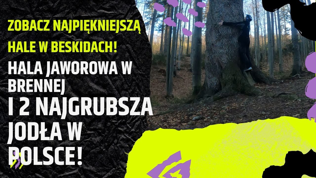 Hala Jaworowa Beskid Śląski