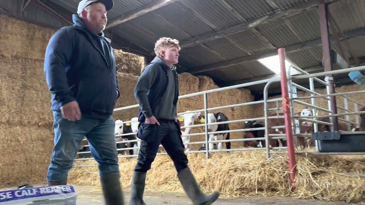Shane McDermot Co Galway transforming calf health with Precision Microbes