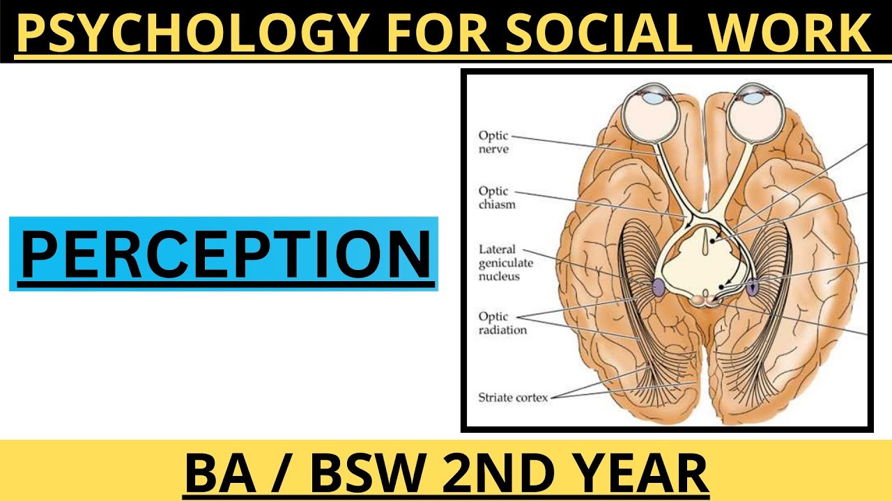 Psychology for Social Work (SW 423) | Perception of Vision | BA / BSW 2nd Year TU 