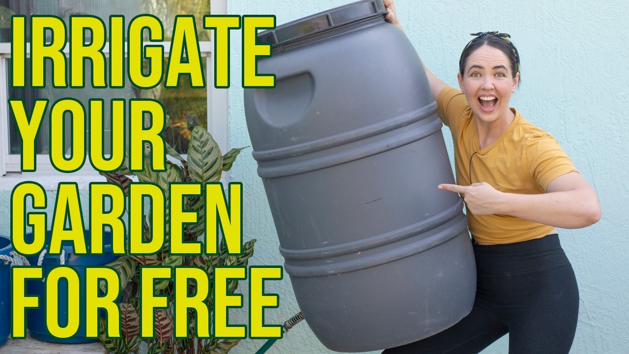 Gravity Fed Rain Harvesting Irrigation System From Recycled Materials