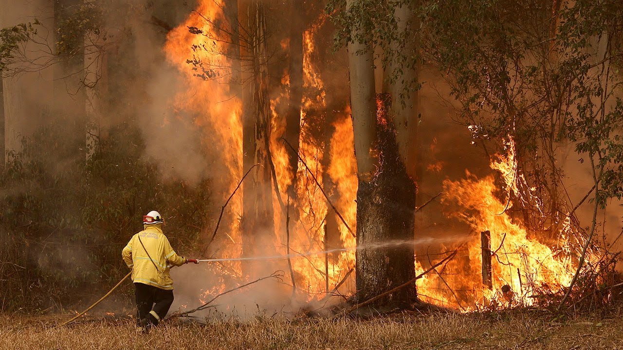 'Catastrophic' bushfire warnings issued across New South Wales, Australia