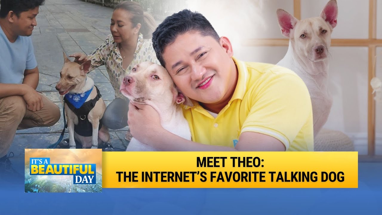 The Story of Theo the Talking Dog | It's A Beautiful Day