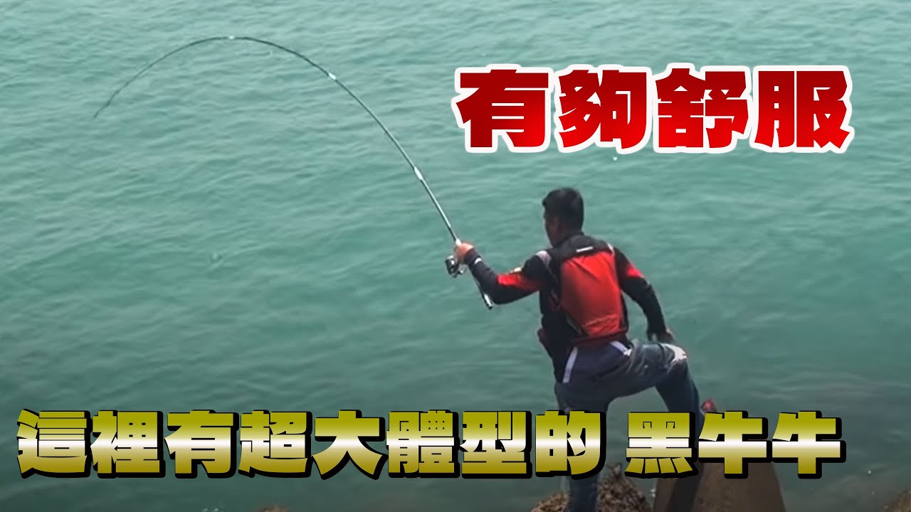 停車就能釣 這裡魚超兇 每隻黑鯛又大又肥 台灣特有螺釣法 チヌISO クロダイ 釣り 漁樂爽報(Fishing Fun News) EP45 #釣魚 #钓鱼 #iso