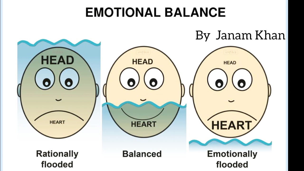 How People Balance Emotions 👈 | By Janam khan!!