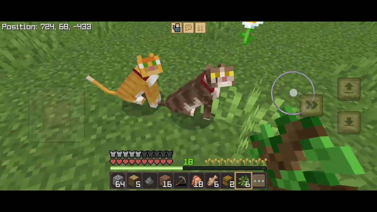 Complete my creeper farm in Minecraft 😀