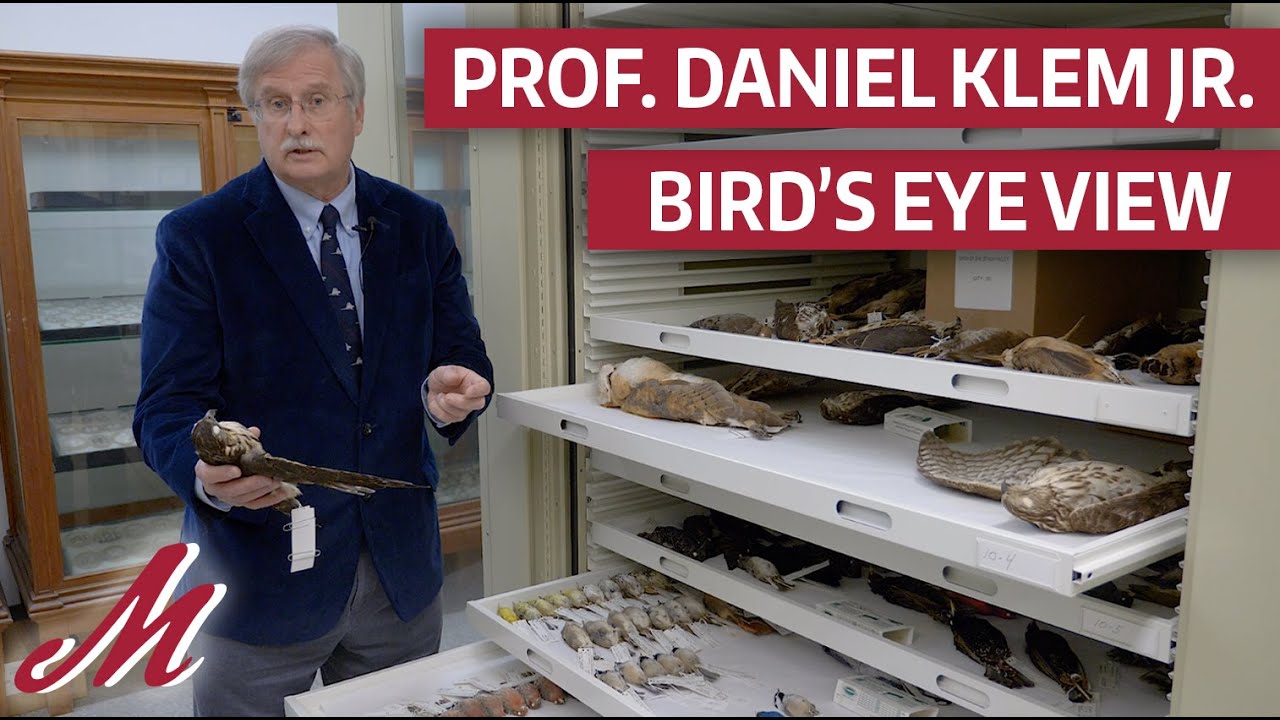 Bird's Eye View:  Avoiding Bird Window Collisions