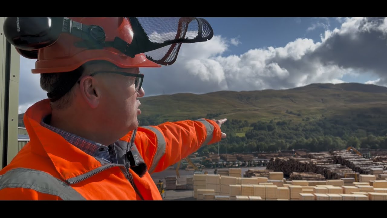 From Forest to Timber Products: Inside and Outside the BSW Timber K2 Sawmill in Fort William